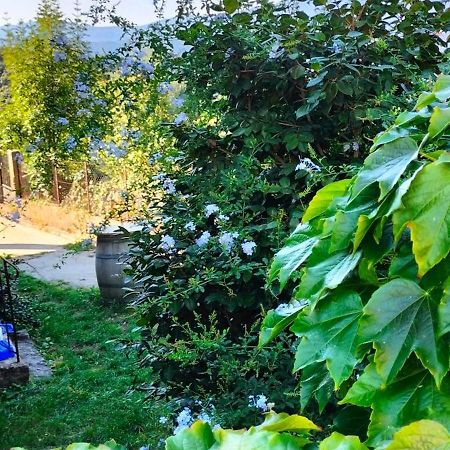 Casa Di Minnana Petreto-Bicchisano Exteriér fotografie